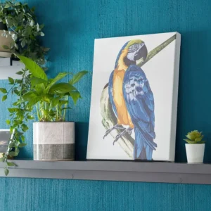 Canvas Printing