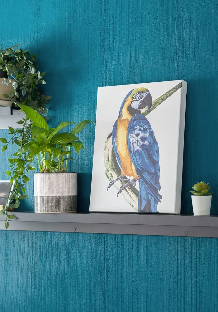 Canvas Printing